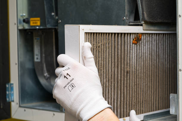 Best Air Filter Replacement Services in Cottonwood, MN